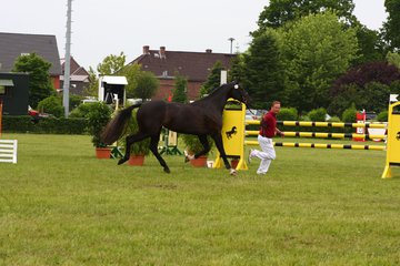 Bild 63 - Elmshorn am 9.6.10